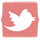 twitter copy