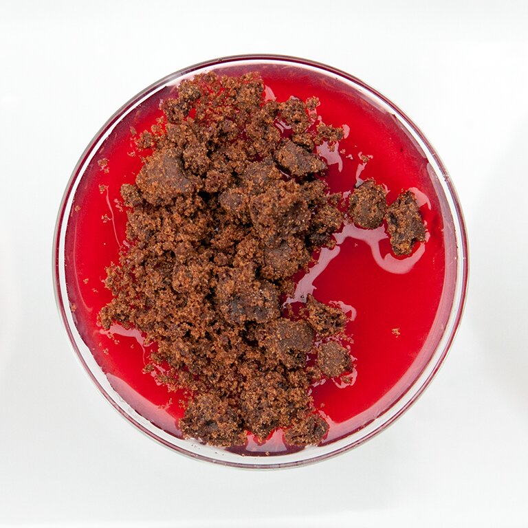 Vanilla Bean Panna Cotta with Blood Orange Syrup and Chocolate Cookie Crumble | www.spachethespatula.com #recipe