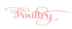 poultry