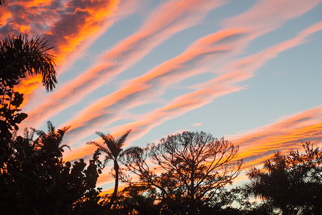 Sarasota Sunset