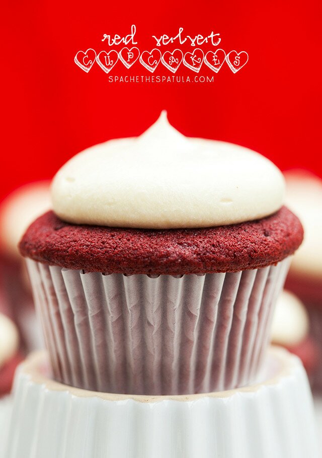 Chocolate-y, vanilla-y, crazy moist cake topped with a tangy-sweet cream cheese buttercream! | www.spachethespatula.com #recipe