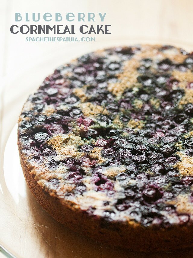 A soft and tender cake made with blue cornmeal for added flair, and studded with juicy blueberries | www.spachethespatula.com #recipe
